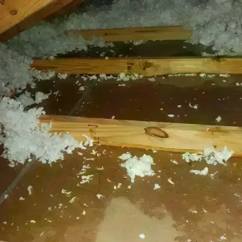 Attic Water Damage in Catoosa, OK