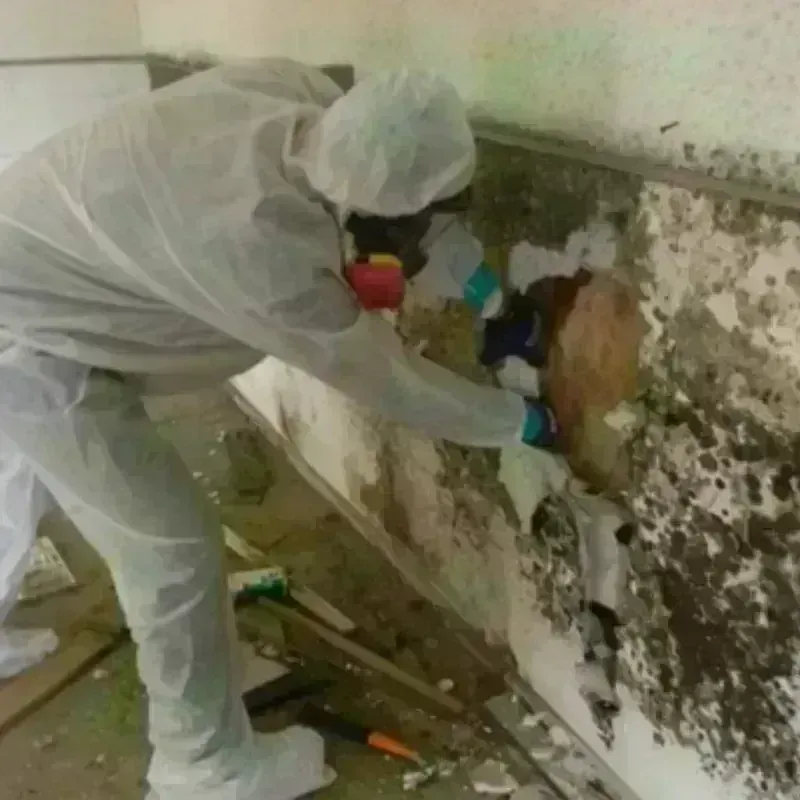 Mold Remediation and Removal in Catoosa, OK