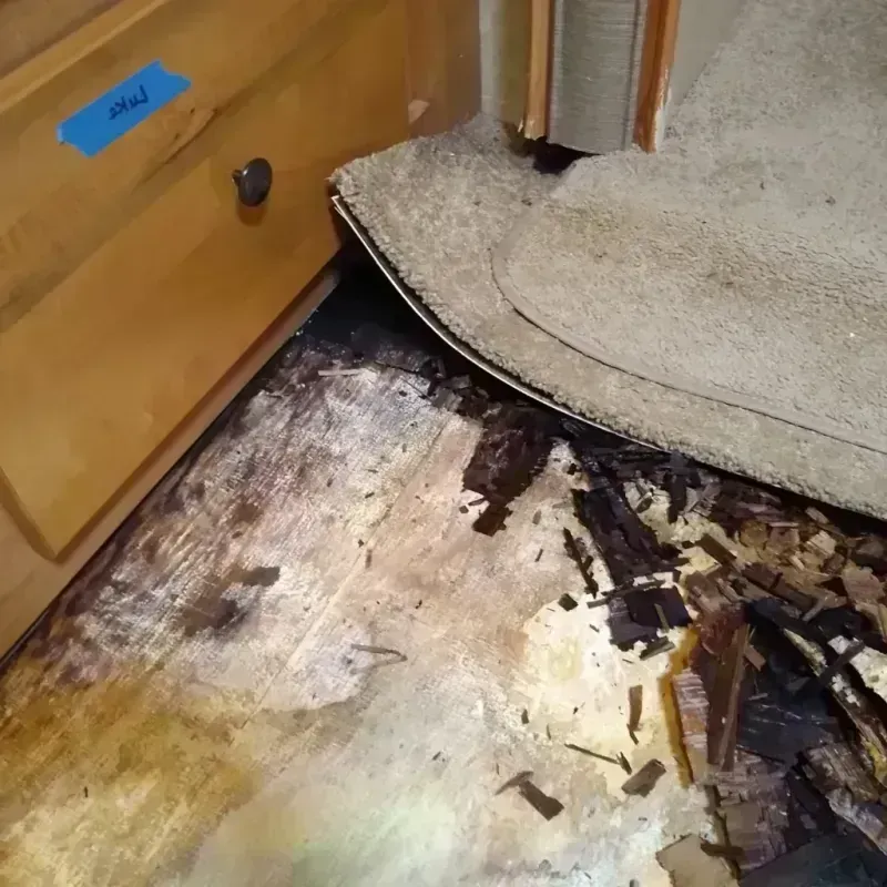 Wood Floor Water Damage in Catoosa, OK